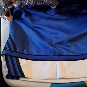 Cheer skirt and pom poms